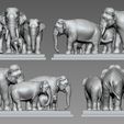00.jpg Elephant family