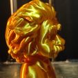 1747326512987.jpg Busto Educativo Albert Einstein - 4 Colores AMS/STL | Ciencia STEM Icono Figurilla