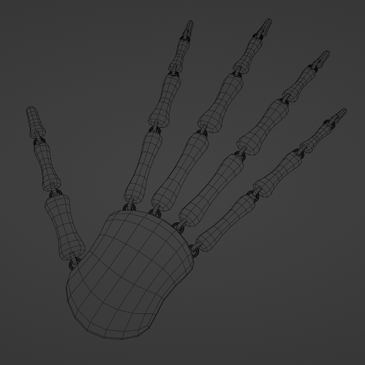 wire.png ARTICULATED SKELETON HAND