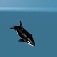 Killer-whale-3.jpg Articulated Killer whale