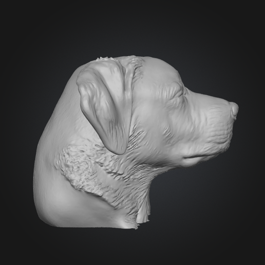 Captura-de-pantalla-2025-12-29-125748.png Dog Meme