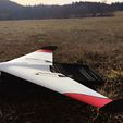 3.jpg DUCK - RC Delta Wing