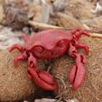 c_gl9.jpg STL file Articulated Crab・Template to download and 3D print, mcgybeer