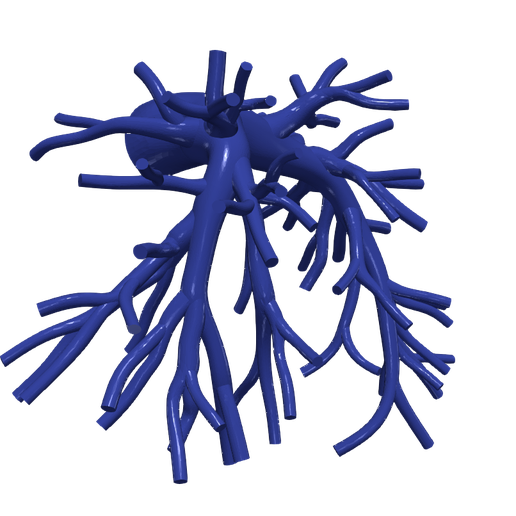 STL file 3d model of pulmonary arteries・3D printer model to download・Cults