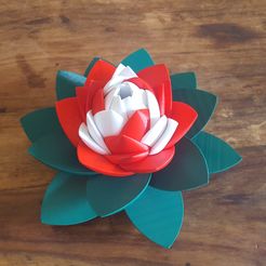 20190706_103820.jpg 3D file Flower Puzzle・3D printable model to download