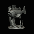 peacock-bass-trophy-natural-2-2-18.png Peacock bass (Cichla ocellaris) fish trophy in motion sculpture 2 underwater detailed texture for 3d printing