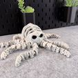 IMG_7968.jpg Articulated Skeleton Octopus