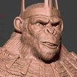 16.jpg Kingdom of The Planet of The Apes Bust