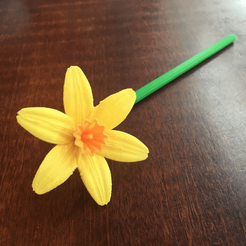Capture d’écran 2018-03-30 à 12.13.35.png Spring Narcissi