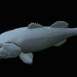 Bass-mount-statue-43.png fish Largemouth Bass / Micropterus salmoides open mouth statue detailed texture for 3d printing