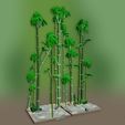 Render_Path_3.jpeg Openfoliage Bamboo Forest Sample Inserts