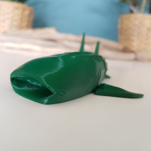 20220918_133015.jpg Tubarão-baleia Flexi (Multicolor .3mf incluído)