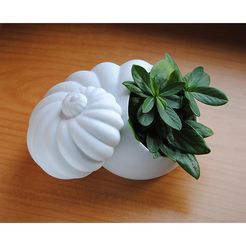 planter1.jpg Archivo 3D Shell Planter・Plan imprimible en 3D para descargar