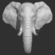 45.jpg Elephant head