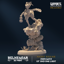 01.png STL file Undying Light Windmage A・3D printer model to download
