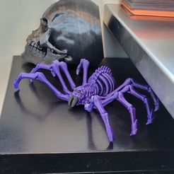 LEONARDZ3D - FLEXI PRINT-IN- PLACE SKELETON SPIDER - HALLOWEEN
