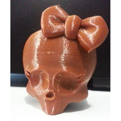 terzsfderqeqdw.jpg Free STL file monster high skull・3D printer model to download