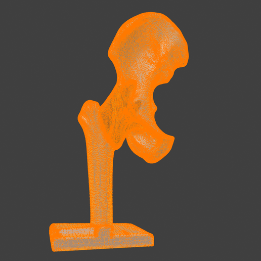 8.png 3D Hip Joint Anatomy Model