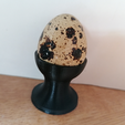 quail_egg_cup_pic.png Quail Egg Cup / Quail Egg Cup