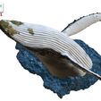 Humpback-Whale-Head-off-the-Water-color-11.jpg Humpback Whale Head off the Water 3D printable model