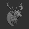 8.jpg Deer head