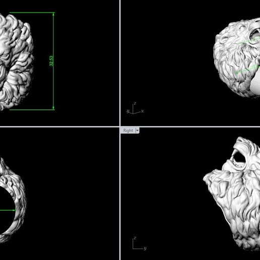 Capture2.jpg Lion ring