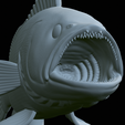 White-grouper-open-mouth-statue-59.png fish white grouper / Epinephelus aeneus open mouth statue detailed texture for 3d printing