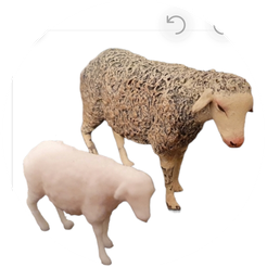 SmartSelect_20220621-210432.png STL file Sheep・Design to download and 3D print, ferperezballesteros