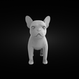 buldog-render2.png French Bulldog baby