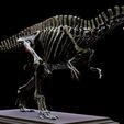 acr04-1.jpg Acrocanthosaurus skeleton.