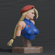 c2.png Cammy VS pose