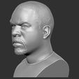 4.jpg Ice Cube bust 3D printing ready stl obj formats