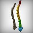 View3.jpg Archivo STL Columna vertebral・Diseño para descargar y imprimir en 3D
