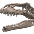 09.png Giganotosaurus skull in 3D