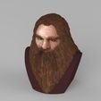 gimli-lord-of-the-rings-bust-full-color-3d-printing-ready-3d-model-obj-stl-wrl-wrz-mtl (15).jpg Gimli Lord of the Rings bust full color 3D printing ready