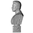 29.jpg 3D PRINTABLE COLLECTION BUSTS 9 CHARACTERS 12 MODELS