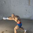 IMG_1548.jpeg Modelo Sagat Street Fighter Tiger Shot