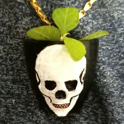 IMG20231128150905.jpg Skull Pendant and Badge Plant Pot