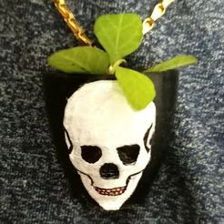 IMG20231128150905.jpg Pendentif tête de mort et insigne Pot de fleurs