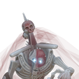 cultsflayed-10.png Flayed one necrones.