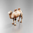 Cults03.png Bactrian Camel