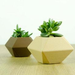 IMG_9909.jpg Jardinera Low Poly