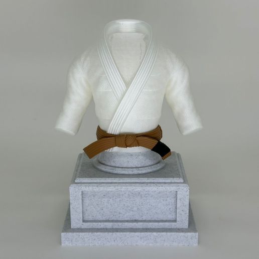 a6.jpg JIUJITSU TROPHY