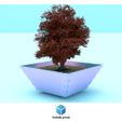 180.jpg bonsain pots complete collection (1-2-3-4-5-6)