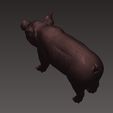 4.jpg Pig 3D print model