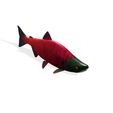 13.jpg SALMON - Fish 3D MODEL - Coral Fish Goby