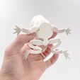 IMG_4441.jpg Rage face Flexi Toad Frog articulated print-in-place no supports Meme