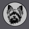 yorkie-litho-04.jpg Yorkie Lithopane 4