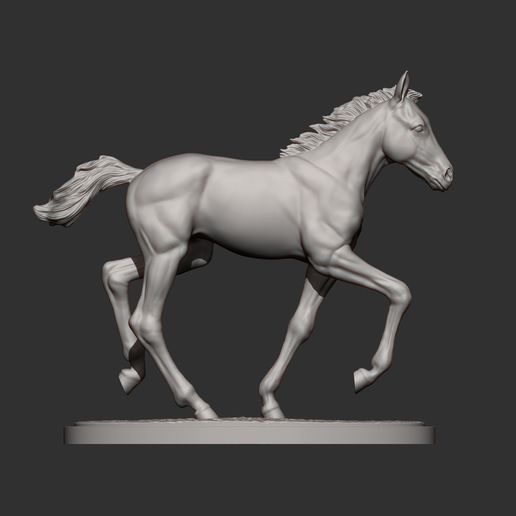 foal-is-running9.jpg El potro corre