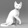 CAT.230.jpg Flux 2024 Cat - Cat